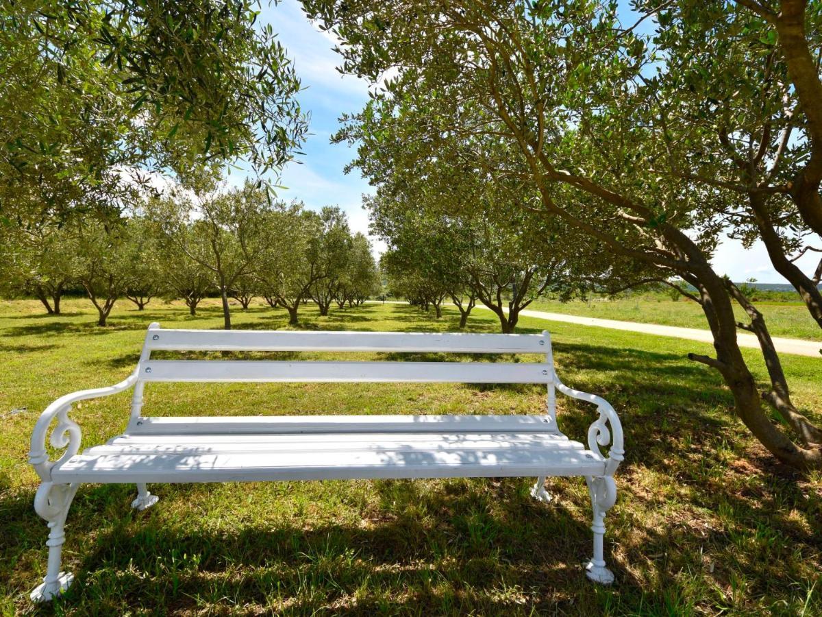 Holiday Home Frane By Interhome Lisane Tinjske Bagian luar foto